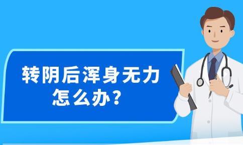2025新澳精准正版免費資料与2025精准资料免费大全.精选解析、解释与落实